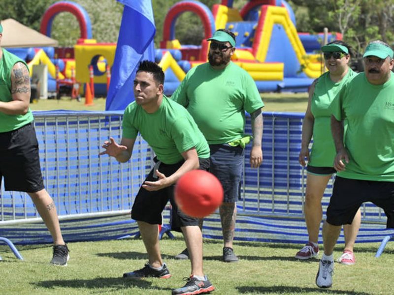 Dodgeball Arena
