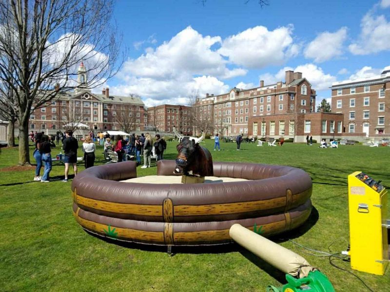 Mechanical Bull