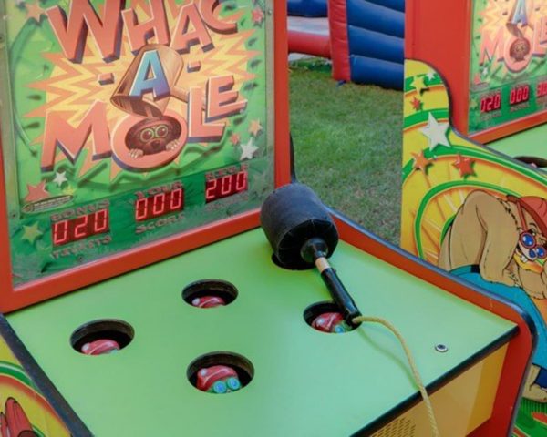 Whack a Mole Carnival Game Rentals